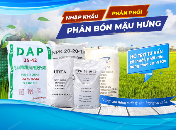 CÔNG TY TNHH XUẤT NHẬP KHẨU THƯƠNG MẠI DỊCH VỤ VẬN TẢI MẬU HƯNG