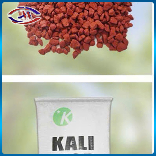 Phân bón Kali MOP 60% Minimum